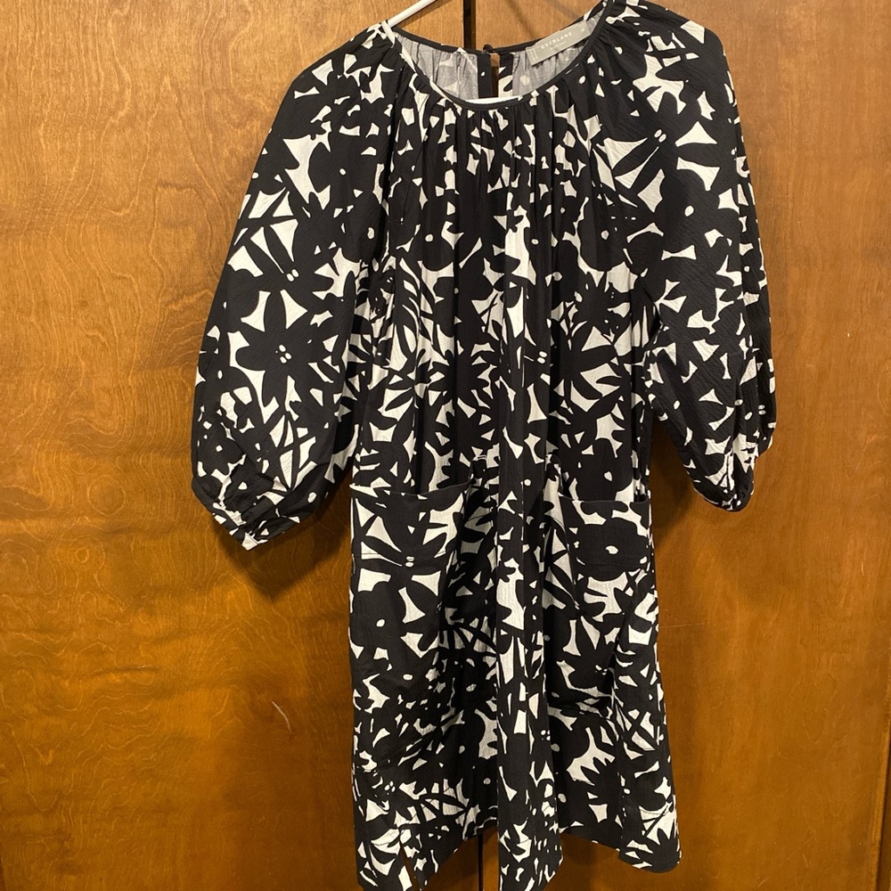 Everlane Black and White Print Dress